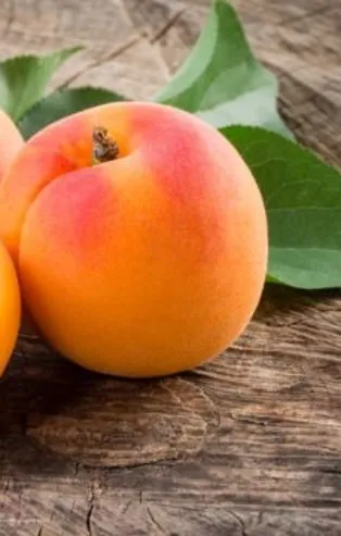 Rüyada kayısı görmek ne anlama gelir?