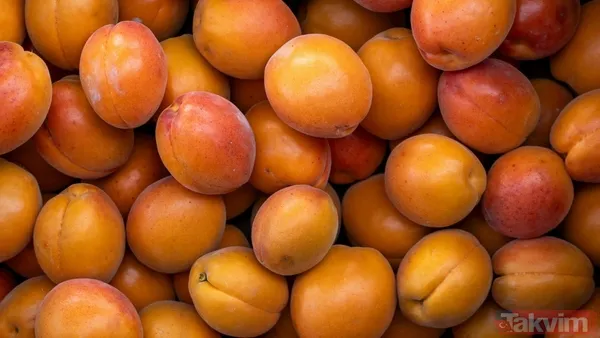 Anadolu’nun bereketi küresele taşındı! Türkiye’den 7 ürün dünya lideri - 2