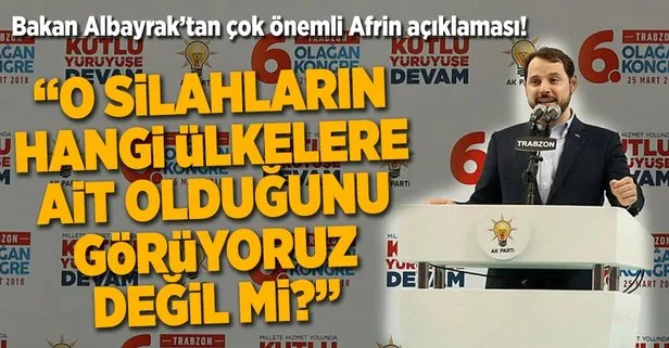 Bakan Albayrak: Afrin'de ele geçirilen silahların hangi ülkelere ait olduğunu görüyoruz değil mi?