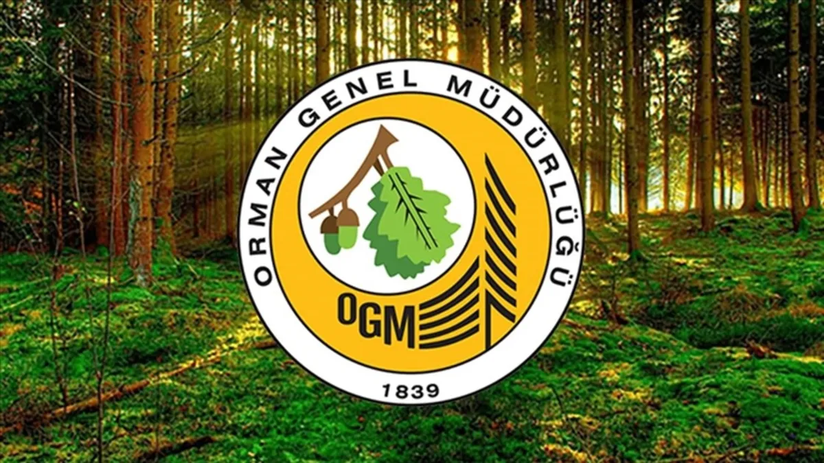 OGM 4500 personel alımı başvuru şartları ve tarihleri! OGM 2025 personel alımı kurası çekildi mi?
