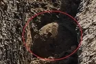 Doğalgaz çalışması faciaya dönüyordu! Mardin'de hendek olaylarından kalma el yapımı patlayıcı bulundu