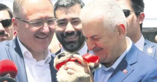 Binali Yıldırım’dan Sivas çıkarması!