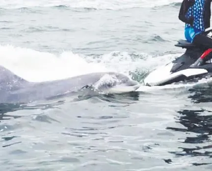 Yunusun jet ski aşkı