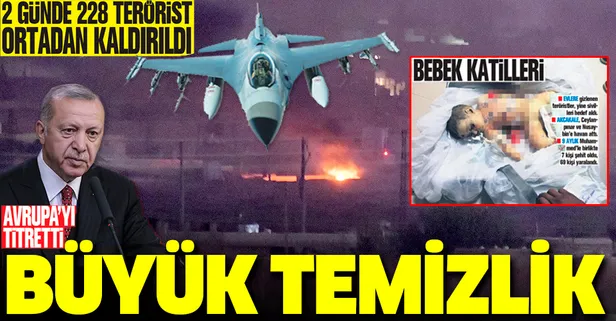 Mehmetçik'ten Fırat'ın doğusunda büyük temizlik!