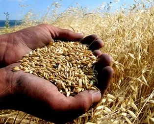 Tarıma 100 milyarlık destek