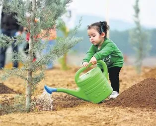 Rekor ağaca rekor davet