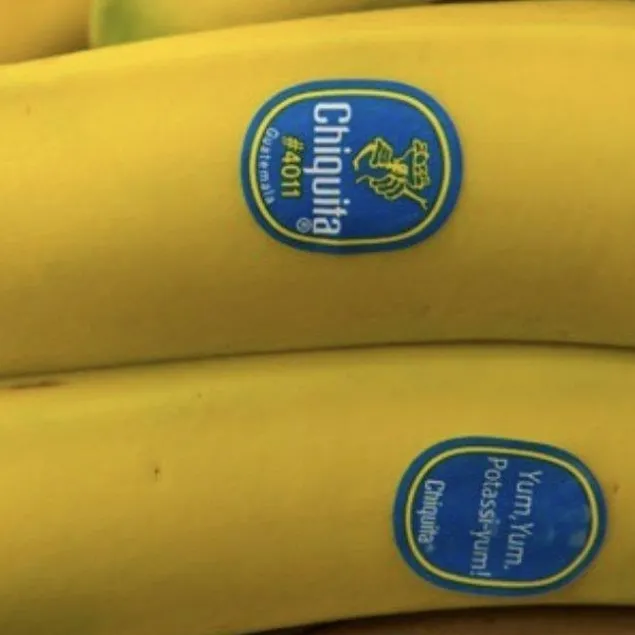 Mafyaya o’muz’ verdi