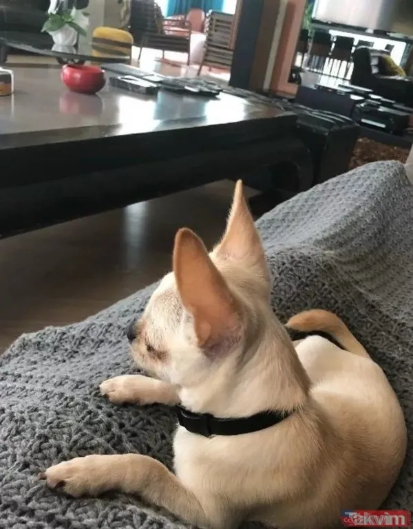 İlk doğum günü mesajı Eda Ece'den geldi: Taze anne Aslı Enver 40 yaşına girdi! Kızlarımızla beraber daha çok anımız yaşayacak... - 45