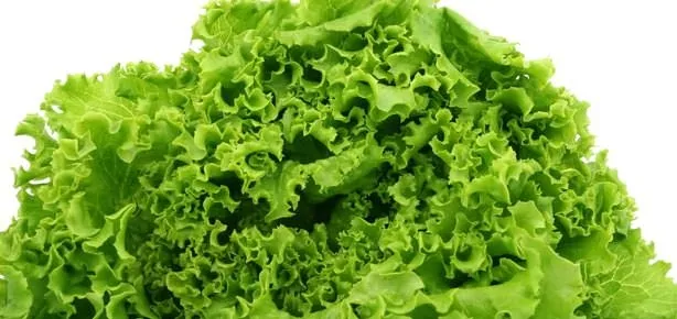 Direnç deposu marul