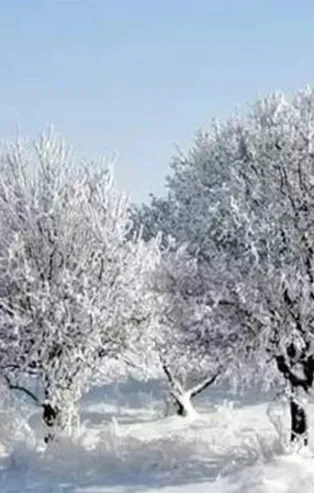 Zemheri ne zaman? Zemheri nedir, 2021 yılında hangi tarihte başlayacak? Zemheri zamanı neler yaşanır?