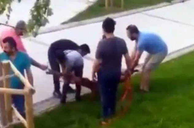 Sultangazi’de pitbull ısırdığı köpeği yediği dayağa rağmen bırakmadı