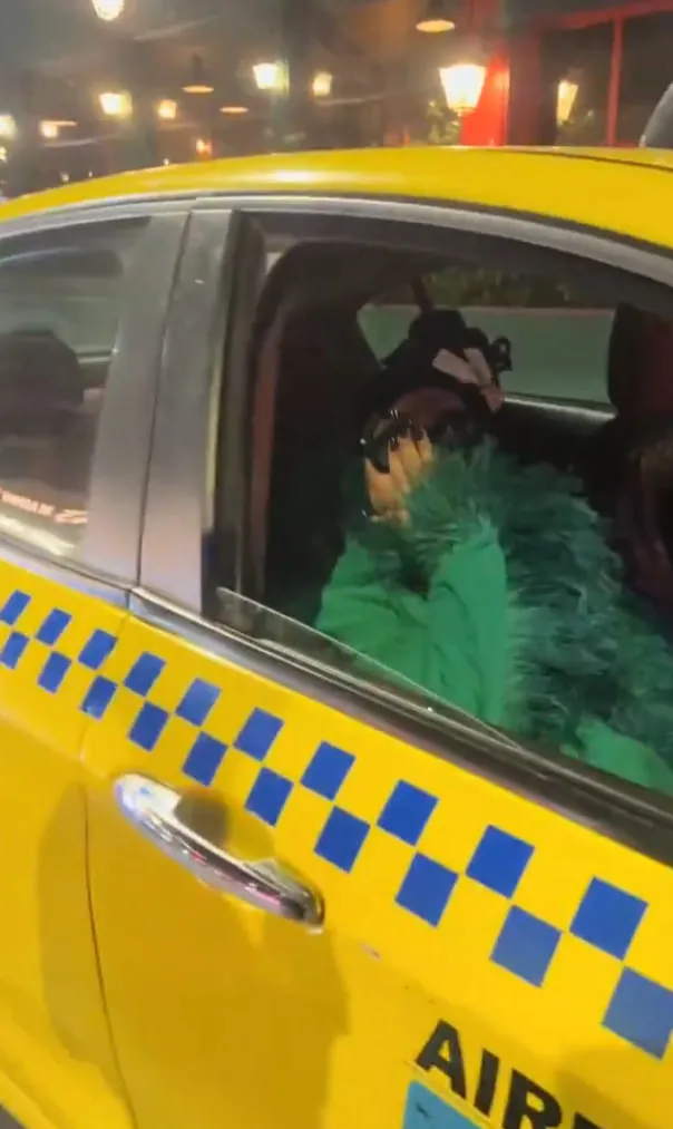 1776147213981.jpg Bülent Ersoy'un trafikteki panik anı: Hayranından "Diva" atağı I "Ödümü patlattın"-4