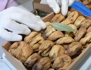 Kemik dostu kuru incir