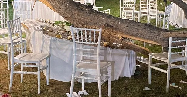 Düğün sırasında ağaç devrildi: Ölü ve yaralılar var