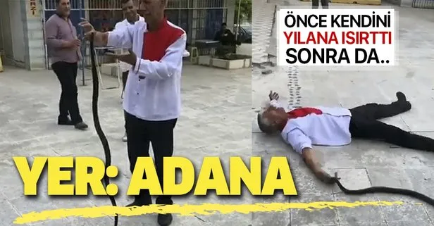 Adana’da ilginç olay: Bu kez de kendini yılana ısırttı