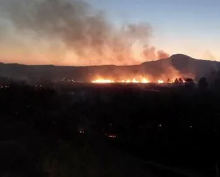 Ankara Nallıhan’da yangın!