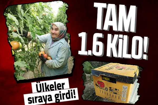 Suudi Arabistan'dan Çin'e Rusya'dan Almanya'ya tüm ülkeler sıraya girdi! Denizli'de üretiliyor! Tam 1.6 kilo...-1