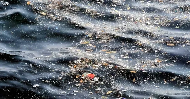 CHP'li Beşiktaş Belediyesi hizmeti unuttu! Boğaz manzaralı çöp yığınları