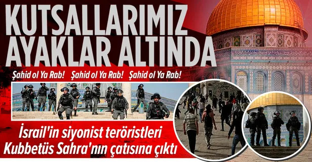Son dakika: İsrail'in siyonist teröristleri kanlı ayaklarıyla Kıble Mescidi ile Kubbetüs Sahra'nın çatısına çıktı!