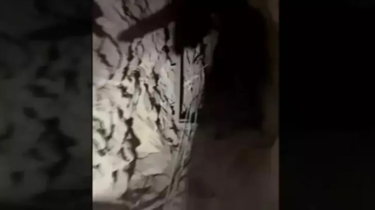 Terör örgütü PKK'ya bir darbe daha! MSB görüntülerini paylaştı
