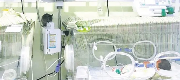 Yeni doğan skandal!