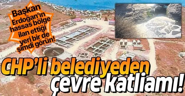Başkan Erdoğan hassas bölge ilan etmişti! CHP’li belediyeden çevre katliamı!