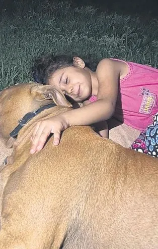 4 yaşında Asiye Ateş'in pitbull vahşetinde yaralanması sonucu Doku nakli için Prof. Dr. Ömer Özkan’a emanet edildi