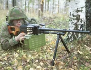 Türk ordusunun envanterinde hangi silahlar var?