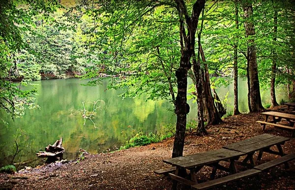 bolu-valiligi-duyurdu-o-tarihe-kadar-ormanlara-girisler-yasaklandi-1689168107363.jpeg Bolu Valiliği duyurdu! O tarihe kadar ormanlara girişler yasaklandı!-3