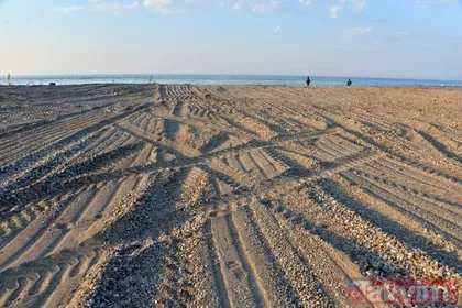 Antalya’da inanılmaz olay! Tarla gibi sürülen caretta caretta kumsalında yuvalar yok oldu