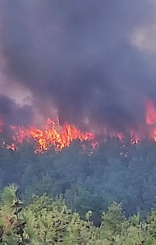 Son dakika: Çanakkale'de orman yangını! Havadan ve karadan müdahale edildi
