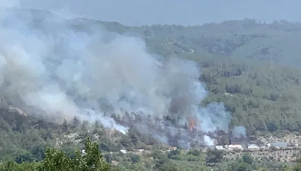 Hatay Dörtyol'da orman yangını! İlk görüntüler geldi