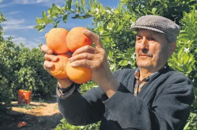 İhracatın yıldızı yaş sebze-meyve