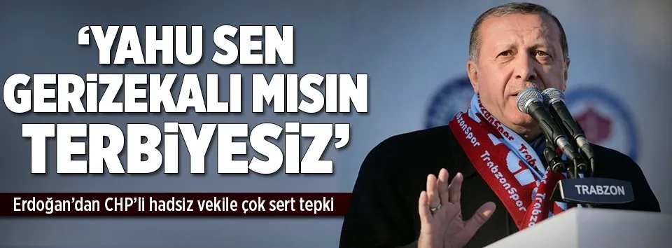 Erdoğan'dan CHP'li vekile sert tepki