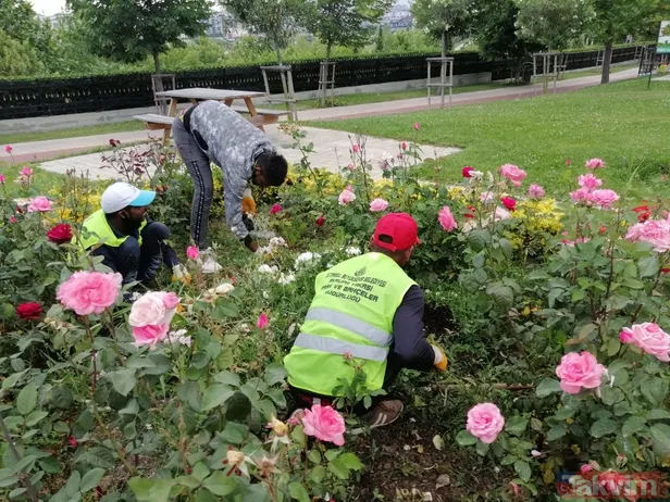 İstanbul Büyükşehir Belediyesi kaçak ve sigortasız işçi çalıştırıyor