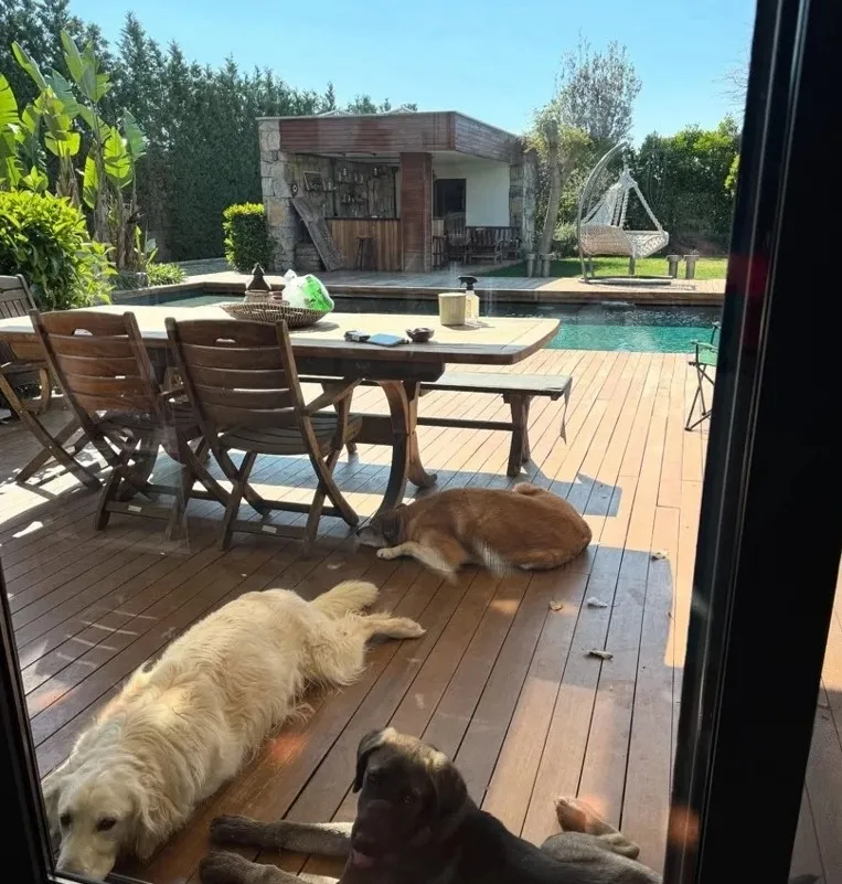 485 metrekarelik huzur kalesi! Ay Lav Yu Tuu’nun Sultan’ı Gizem Karaca’nın Ege'deki masalsı dünyası - 13