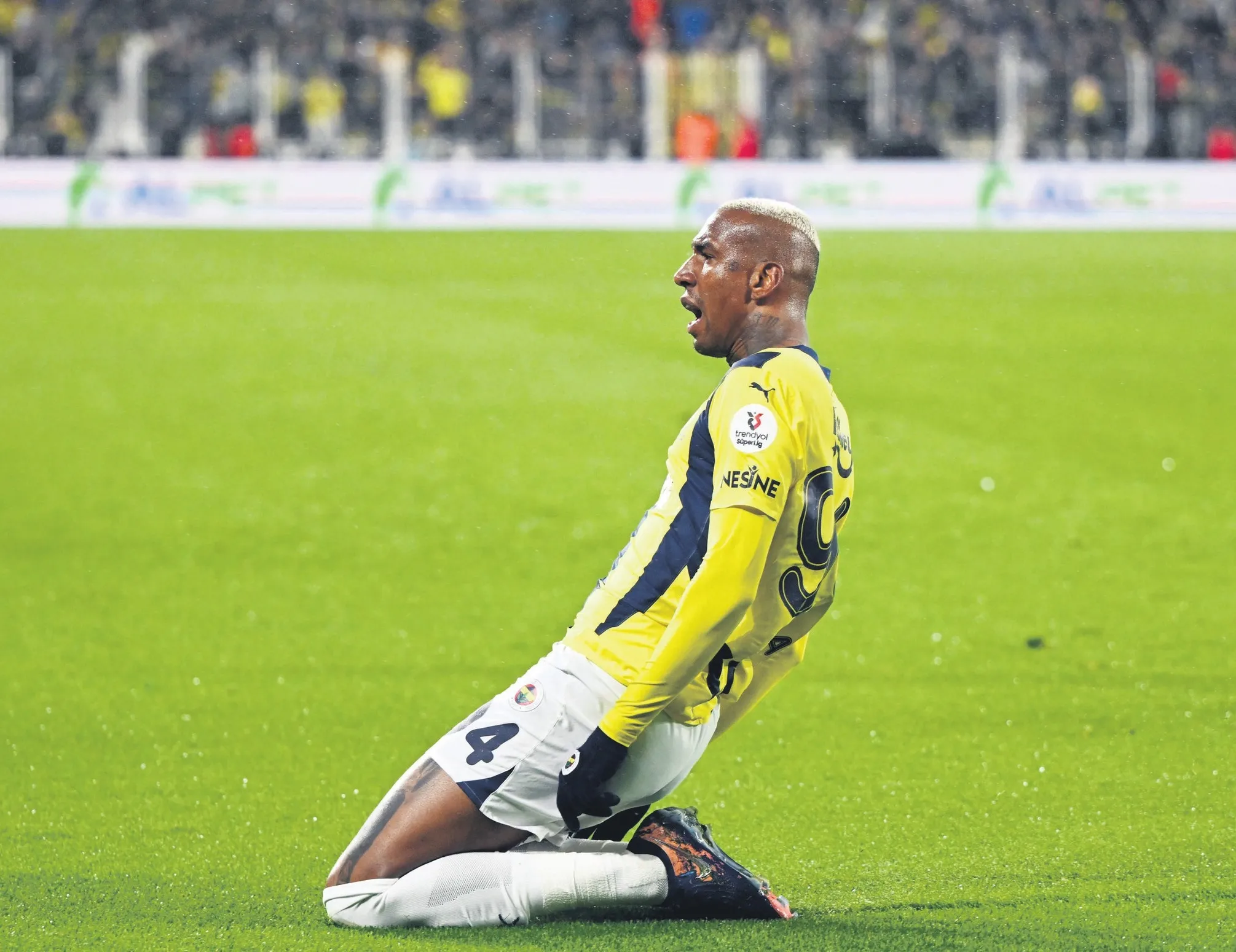 Her şey Talisca için