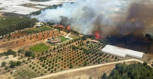 Son dakika: Antalya Aksu’da orman yangını: 1.5 hektarlık alan zarar gördü