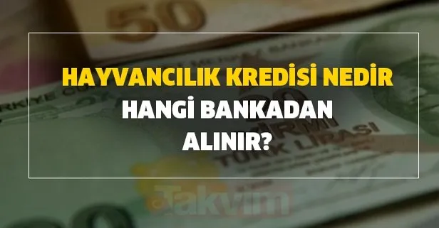 kredisi veren bankalar faiz