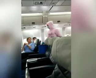 Kanadada uçakta Koronavirüs şakası yaptı gözaltına alındı!