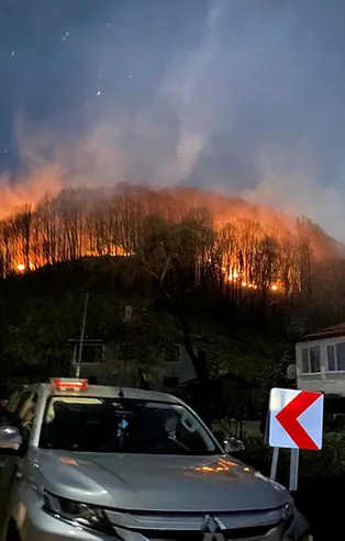 Ordu'da 3 noktada çıkan yangın kontrol altına alındı