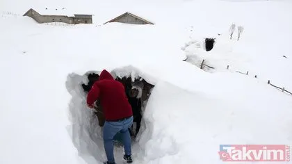 Muş’un Yukarıyongalı köyünde evler kara gömüldü: Tünellerle ulaşım sağlanıyor! Kar atacak yer kalmadı
