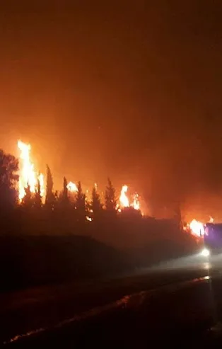 Son dakika... İzmir Menderes'te orman yangını