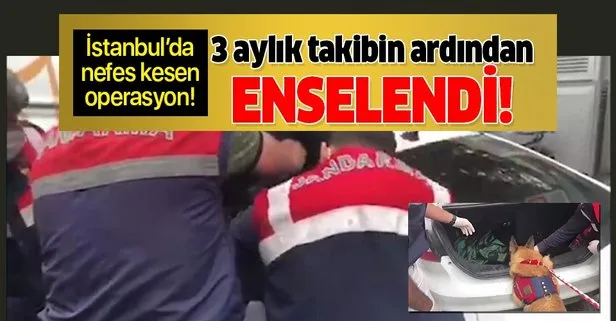 İstanbul’da zehir tacirlerine yönelik nefes kesen operasyon! 3 aylık takibin sonunda yakalandı!