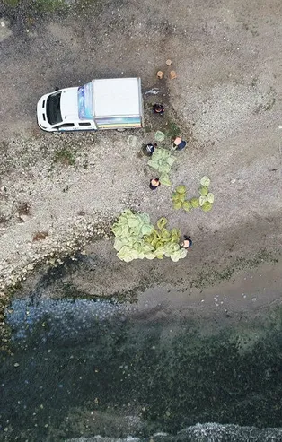 Avcılar'da şoke eden manzara! Topla topla bitmiyor! 10 tonu buldu