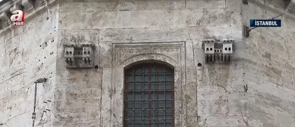 1696431788844.jpeg Osmanlı’daki ‘hayvan hakları’ tarihi belgelerde! Sadık Albayrak anlattı: Dünya halen buna ulaşamadı-4