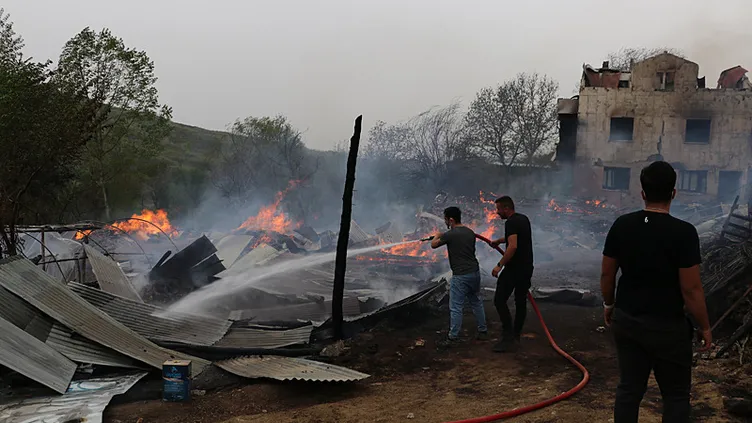 Kastamonu'da 2 ev, sera ve ahırlar yandı: 4 büyükbaş hayvan öldü
