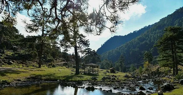 Başpınar tabiat parkı tam bir oksijen deposu 3 bin 950 dekarlık alan eşsiz güzellik sunuyor