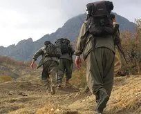 PKK’nin sivil katliamlarına kınama çağrısı