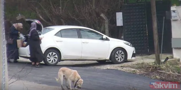 FETÖ'nün İstanbul'daki 'hanım eli' çöktü! Poşet içinde 10 saniyede el değiştiren paralar... Taktik 'sarılma' suçüstü anı kamerada - 7